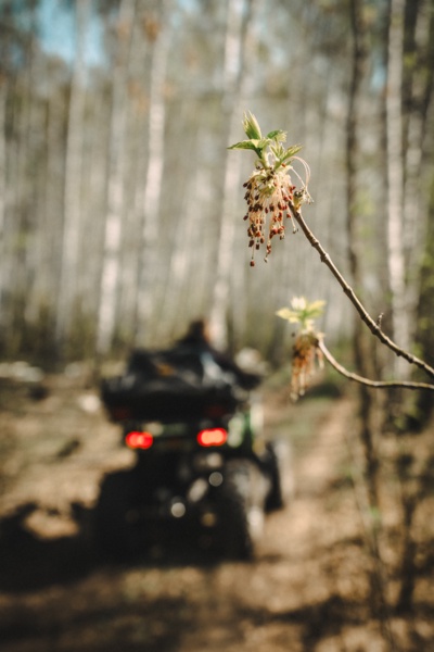 Природа и растения